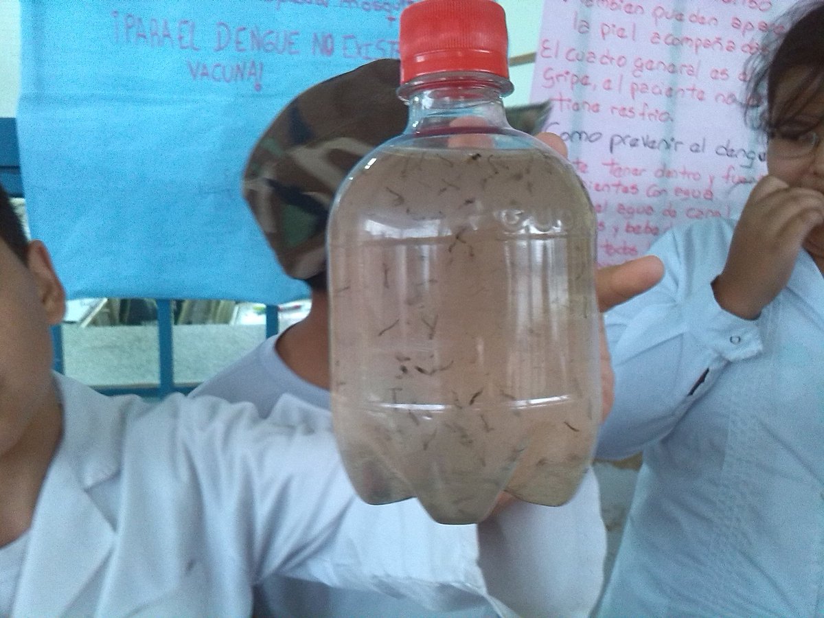 CAIN2EH's tweet photo. Escuela N4811 y CAI N2 trabajando la concientizacion contra el dengue https://t.co/zhmFIDa9cY