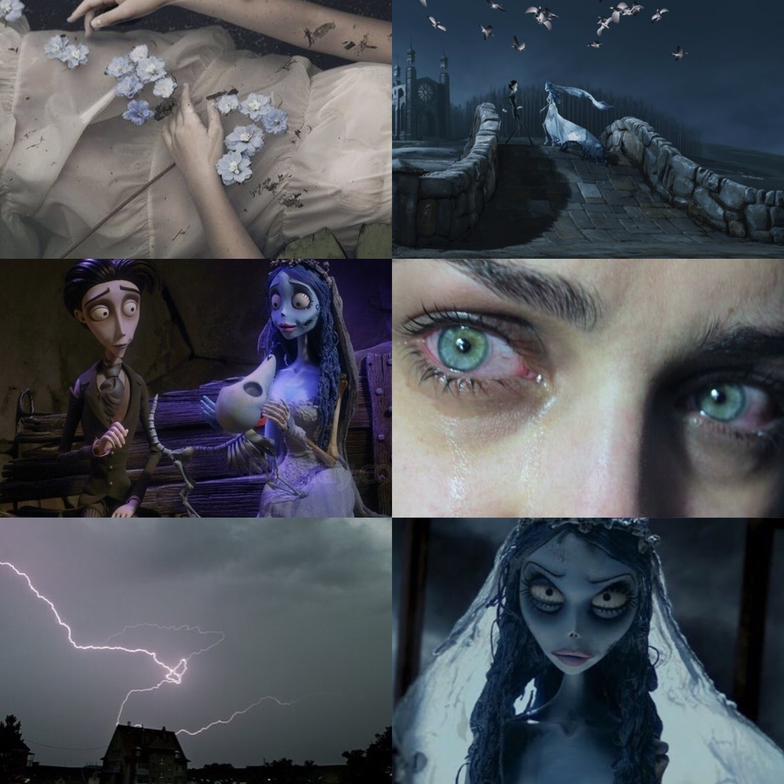 Fandom Aesthetics on Twitter: "The Corpse Bride, Tim Burton (2005) -f ...