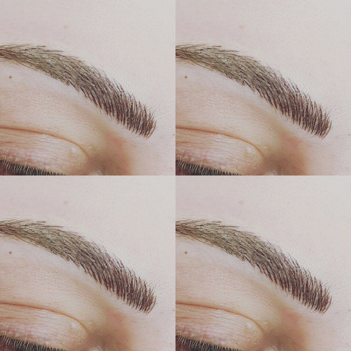 apsarasemiperm's tweet photo. #permanentmakeup #hairstroke #eyebrows #semipermanentmakeup #3dbrows#formby #sthelens #liverpool #spmutraining https://t.co/AjoSHuEMxA
