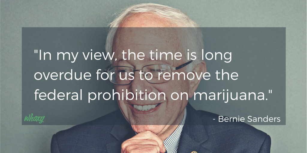 ThinkTankExile's tweet photo. Watch Bernie Sanders Reveal How Many Times He's Smoked #Cannabis - https://t.co/B17tLv3SYu https://t.co/EqtoRzvN1H