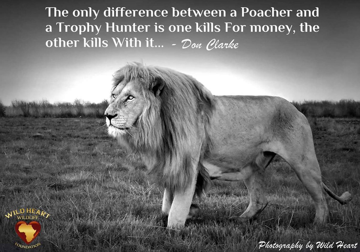 The only difference between a #Poacher and a #TrophyHunter is one kills FOR money, the other kills WITH it. #WHWF