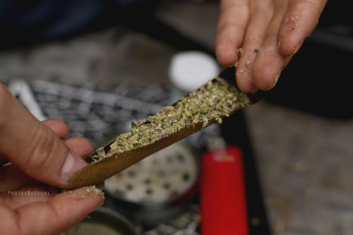 BuzzedWeed tweet picture