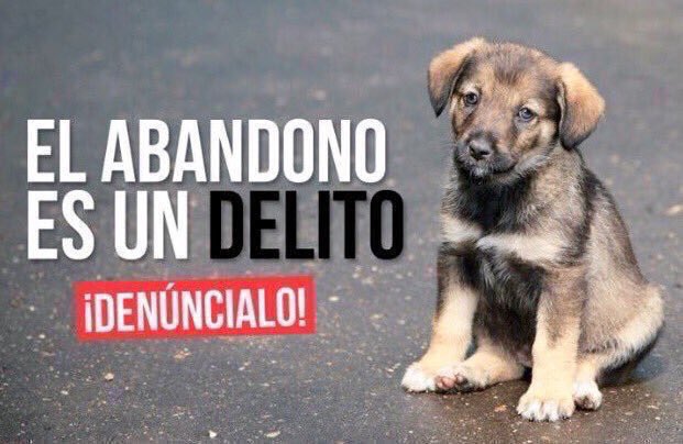 isaacBIOvega's tweet photo. Abandonment is a crime 😿💔 Report it!
😡 El abandono es un delito
RT 🆘 Difunde y ¡DENÚNCIALO! https://t.co/VH50WWfqpC