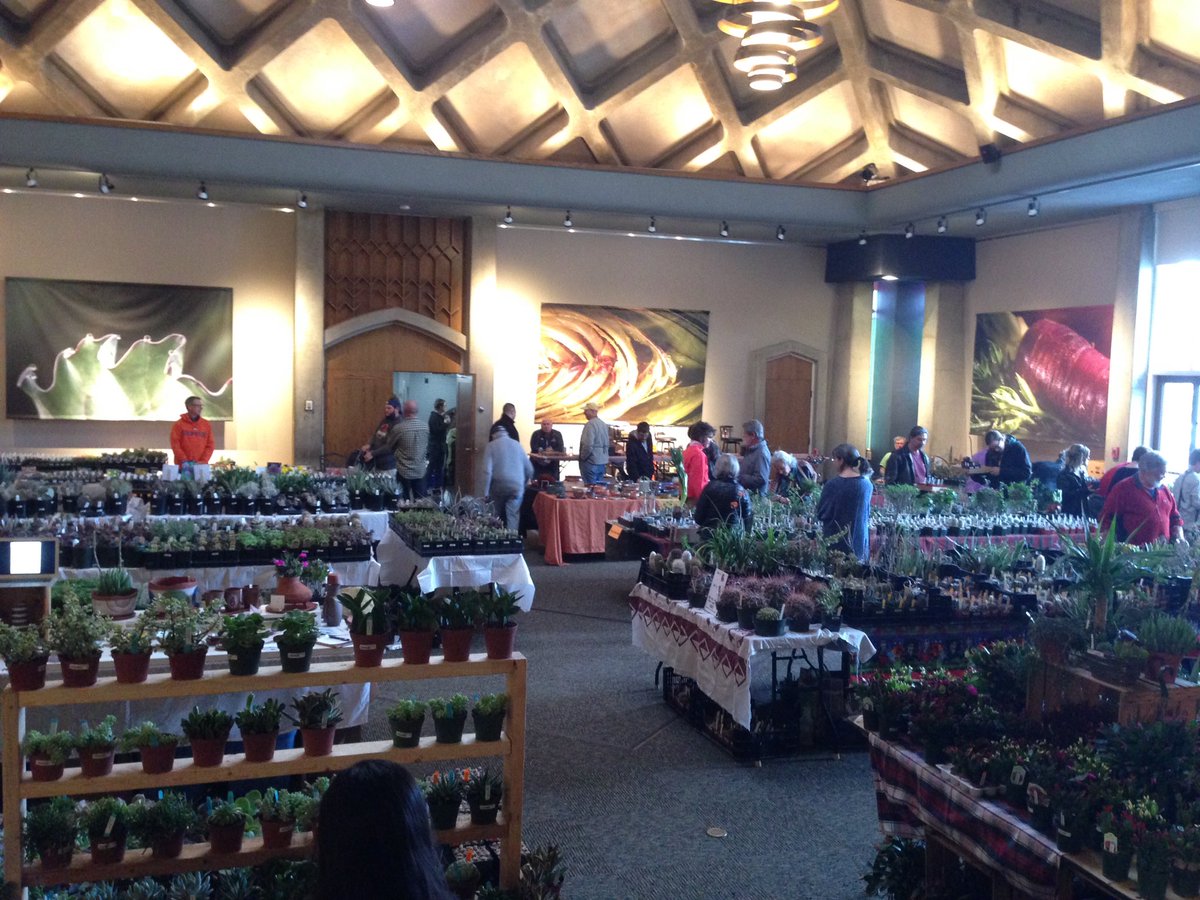 SeisNoir's tweet photo. @ColoradoCactus the Show &amp; Sale has started!  #CCSS2016 https://t.co/KLCQmzZasH