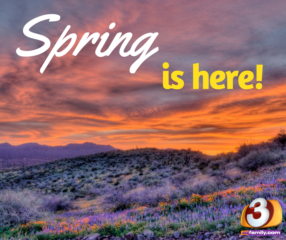 Hello there, Spring!