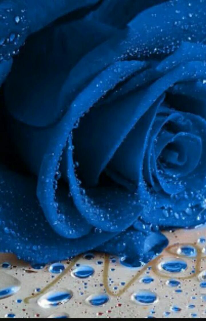 UNUTMA!
KIRILAN PARÇALAR ,
BİRLEŞSEDE YENİDEN
İZİ KALIYOR BE SEVGİLİ!
İZİ KALIYOR....