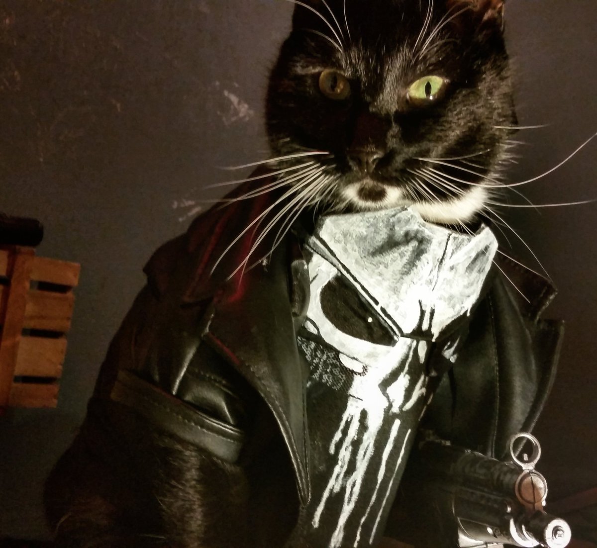 Cat_Cosplay's tweet photo. Debuting #ThePunisher, Frank Cat'sle...

And Matt'mew Murdock the Feline Without Fear.

#DaredevilSeason2 #Daredevil https://t.co/9rL0jpAB29