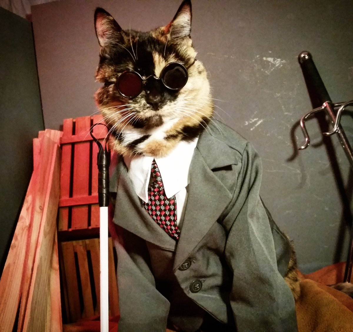 Cat_Cosplay's tweet photo. Debuting #ThePunisher, Frank Cat'sle...

And Matt'mew Murdock the Feline Without Fear.

#DaredevilSeason2 #Daredevil https://t.co/9rL0jpAB29
