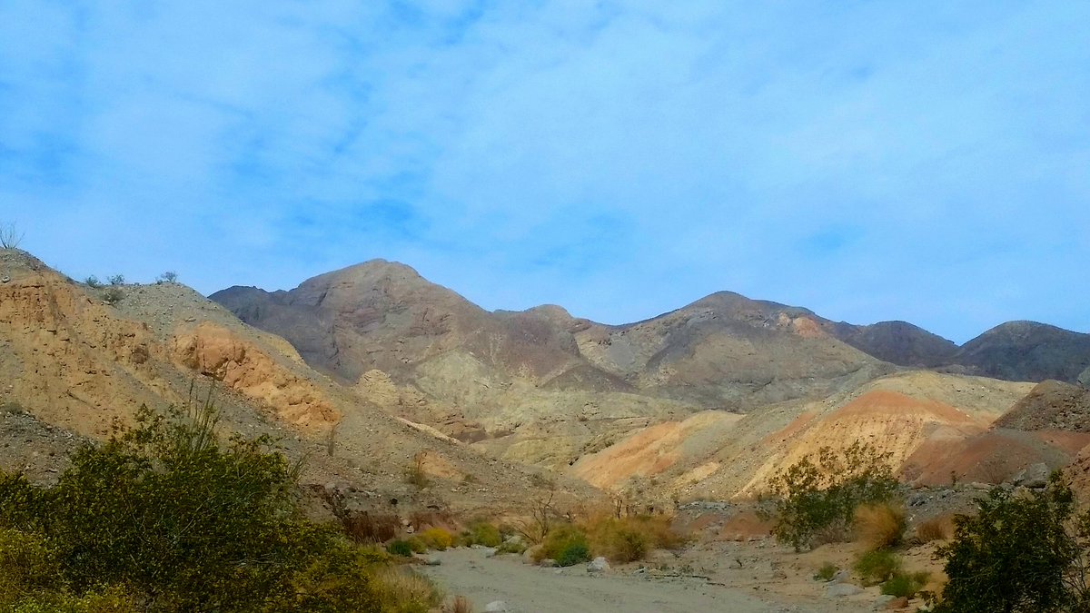 Hiking tweet media