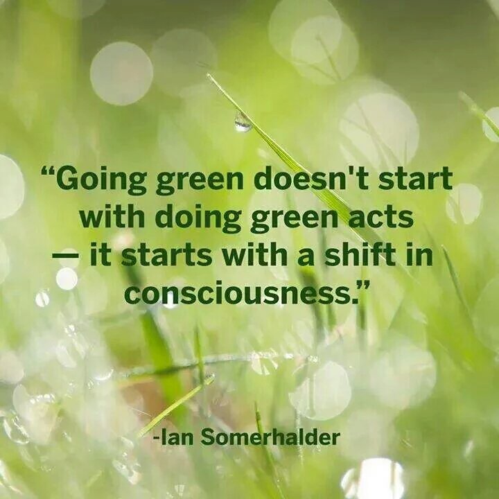 ISFsomeren's tweet photo. #GoGreen, see what you can do to help the environment. Check out https://t.co/36l80nNtqM #ISFCommCrew #ISFsomeren https://t.co/O9FpImaIab