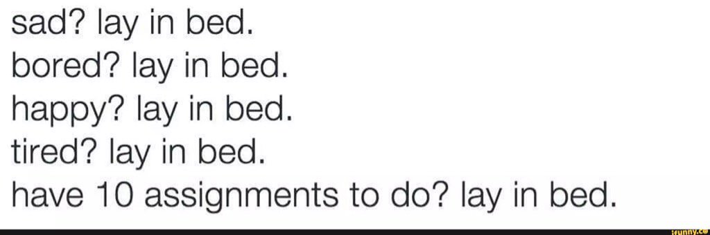 laurenyonker's tweet image. #layinbed because I&apos;m on bed rest for 3 weeks #pilonidalsurgery ifunny.co/fun/aUgju2pi3