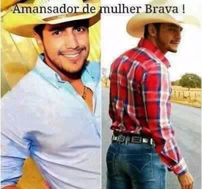 sertanejos (@gabypaulino7) on Twitter photo 