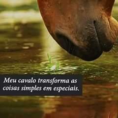 Boa noite moçada 😘