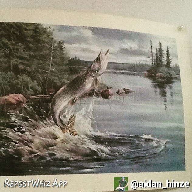 roberts_fishing's tweet image. #filthyfamily #teamfilthy #filthynation #sunsect #teamsunsect #teamdrophook #massbassboys