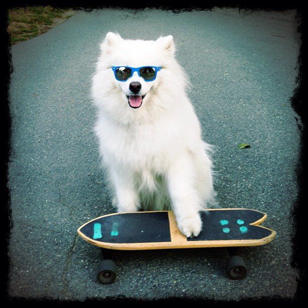 Endogeny (@endogeny_) on Twitter photo 