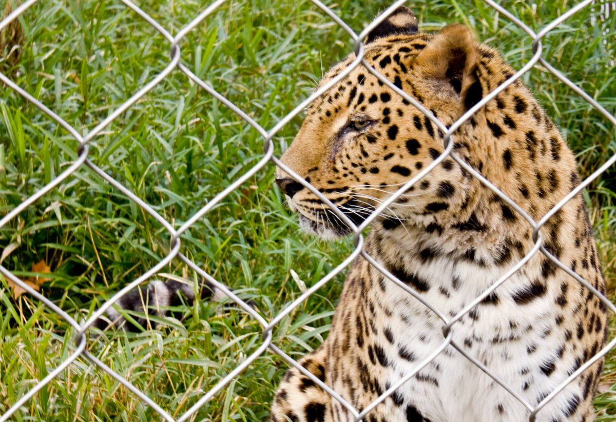 viewsofafrica's tweet image. #ViewsofAfrica #Big5  #Photography #Africa #Travel #Thewild #TIA #Tourism  #Africauntold #PhotoArena #PhotooftheDay