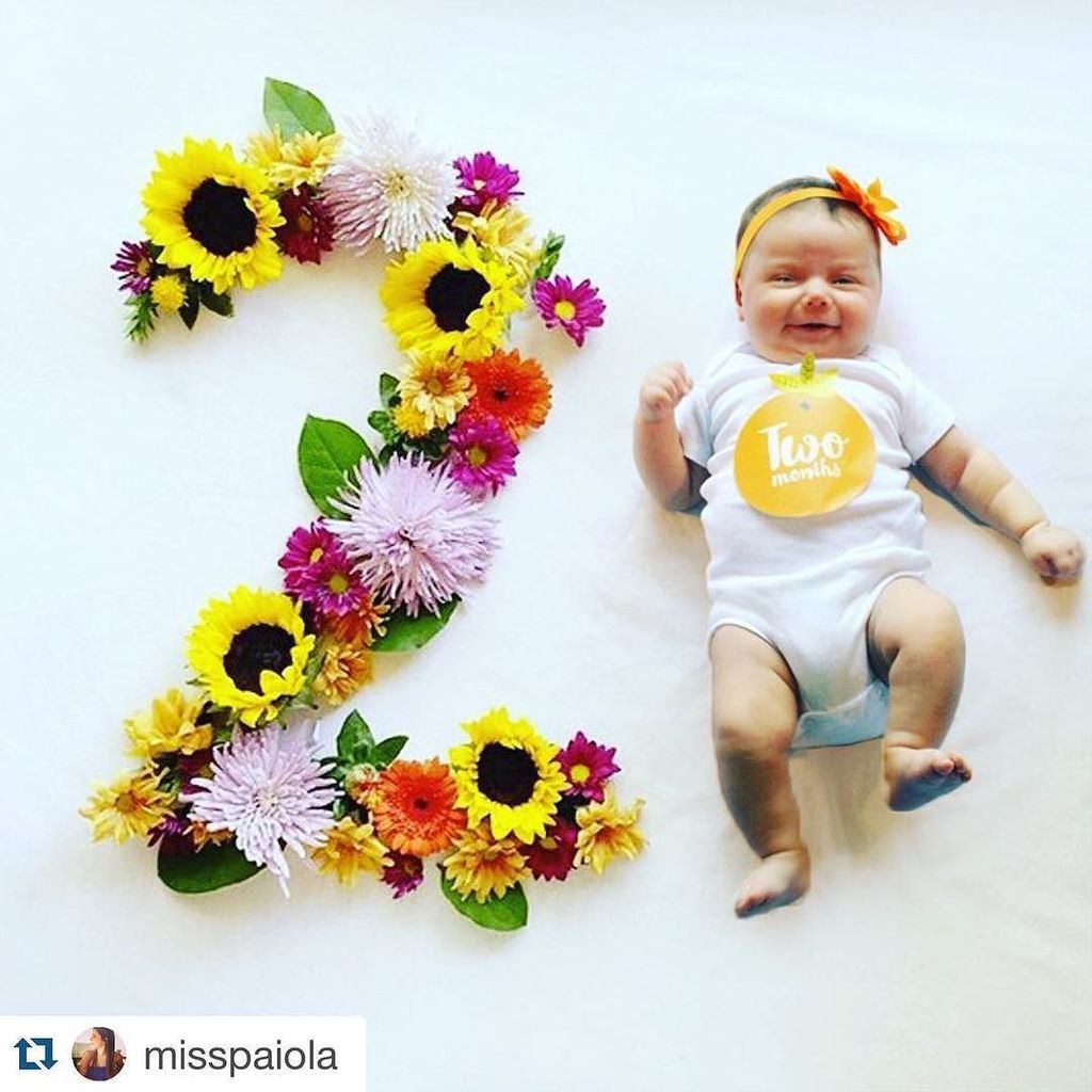 ElyLeal's tweet photo. Mia is two months old already! 🙃❤️ Whaaaaaaaat #Miagram #Miaspam #BabyMia #2MonthsOld https://t.co/UiKAFnIX1d https://t.co/xwbQ6bg5qD
