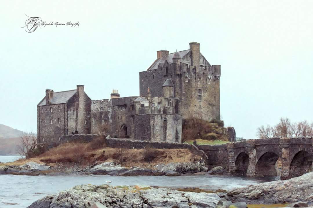 BtheSP's tweet photo. #eileandonancastle #Scotland #Castle #scottishhighlands #photography #Scottish_Fold #arteducation #photoshop #arts https://t.co/tk6jUlc8s8