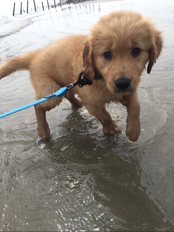 ComedyPosts's tweet photo. "He thought the beach was pretty, but I thought he was prettier" https://t.co/9cQihbseFx
