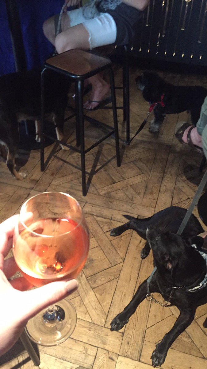 Killsy04's tweet photo. Wine and dogs. This is the best day of my LIFE @BarsMarch #barsmarch #barklife https://t.co/yast2zsoSI