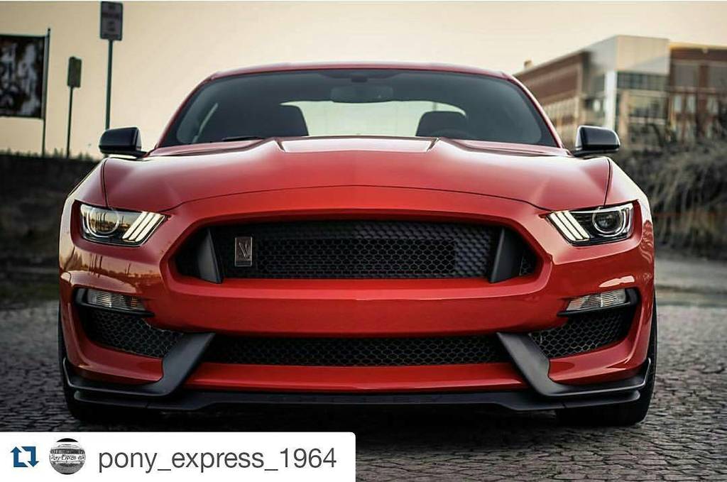 6genmustangrd's tweet photo. One hot looking Shelby... #Repost @pony_express_1964
・・・
Mean GT350. 😈🔥
#Frontendfriday #f… https://t.co/oWrIj3rwPH https://t.co/2laVMLkNJo