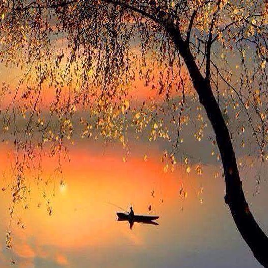 chaebae's tweet photo. Via @gabriele_corno
Zen.... by Igor Zenin
#crossfit #crossfitgirls #crossfitgames #bodybuilding #bodybuildingmotiva… https://t.co/cio7tvOjBB