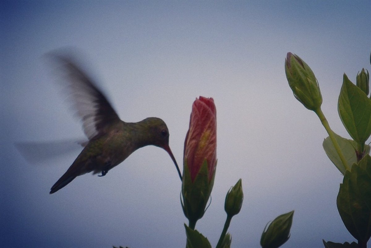 rlEstefi's tweet image. 