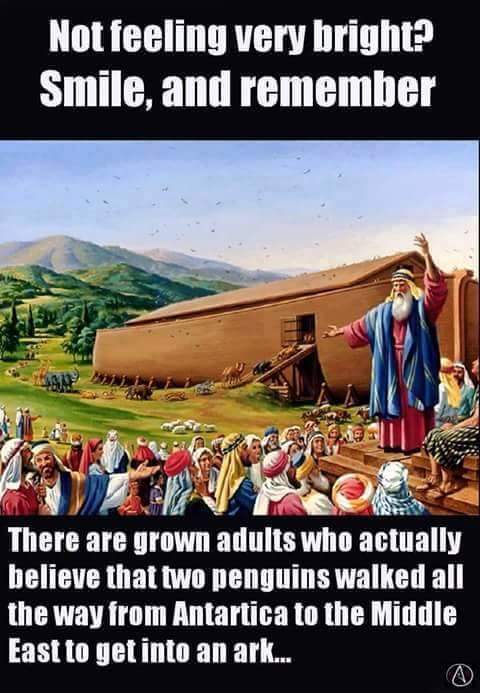 Cd4lOkvWwAED04B.jpg:large