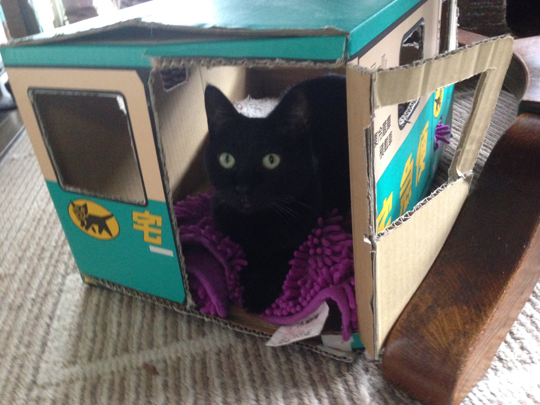 K氏 クロネコヤマトの宅急便 只今 荷物を集荷中 笑 猫 ネコ Cat Blackcat 宅急便 クロネコヤマト ダンボール クロネコヤマト宅急便 T Co Zj06aljqp3 Twitter