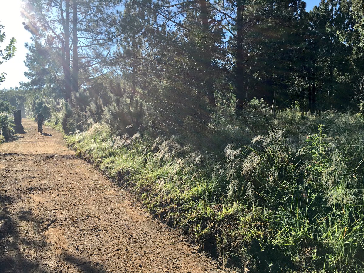 PwC Bike Park tweet media