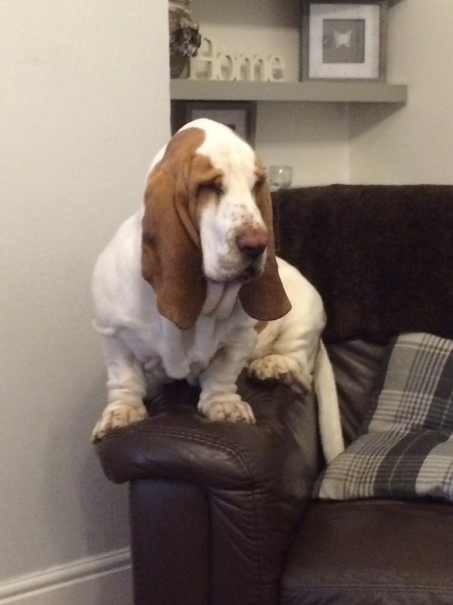 How do I get off here dad #oops