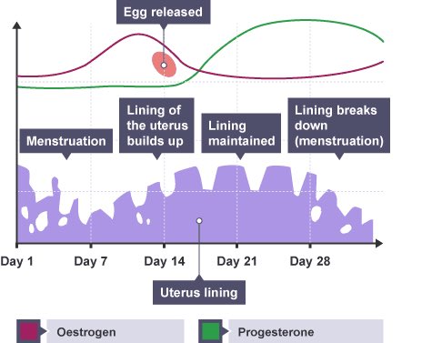 ogabiology tweet picture