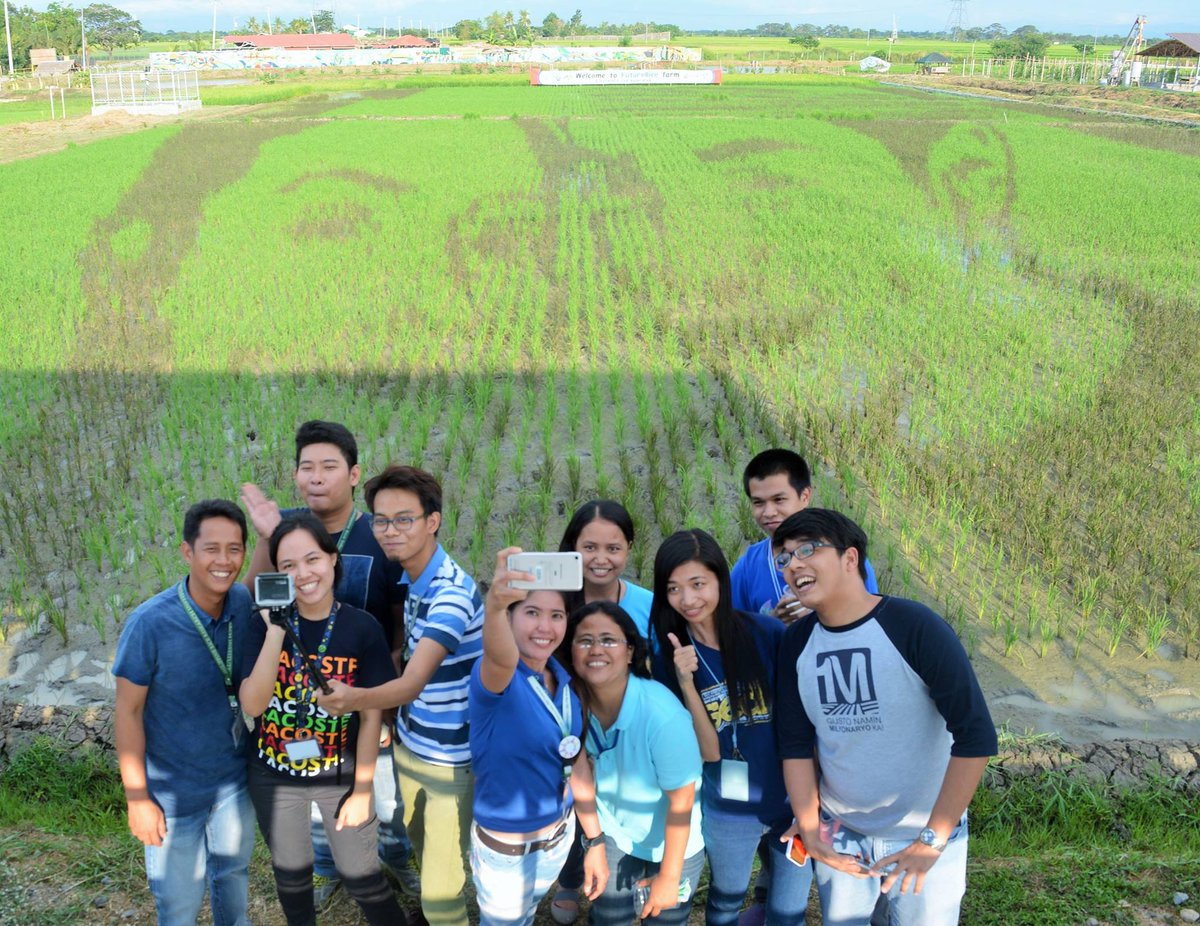 gmanetwork's tweet photo. Amazing! See @aldenrichards02 and @mainedcm's faces in rice paddy art: https://t.co/j918Pt0yAD https://t.co/mScM3kmGpr