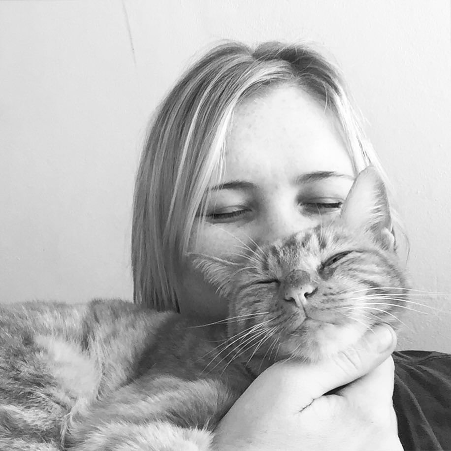 AmusingMeow's tweet image. Some cat cuddles before I'm off to work. A cat purring on top of you is uber calming. #fud… ift.tt/1VmlfJF