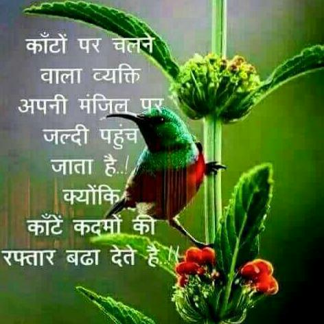 AndariSafiullah's tweet photo. https://t.co/XIS15C0FXQ