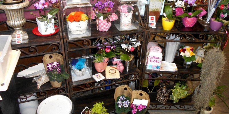 浜松ガイド Jp 公式 浜松 花屋さんガイド ユキブルーム 街のモダンな花屋さん 八幡駅 遠鉄 鉄道線 から563ｍ 徒歩7分 T Co Bhaorb8vsf 浜松 生花 ブーケ 観葉植物 T Co 5fadl54c8f