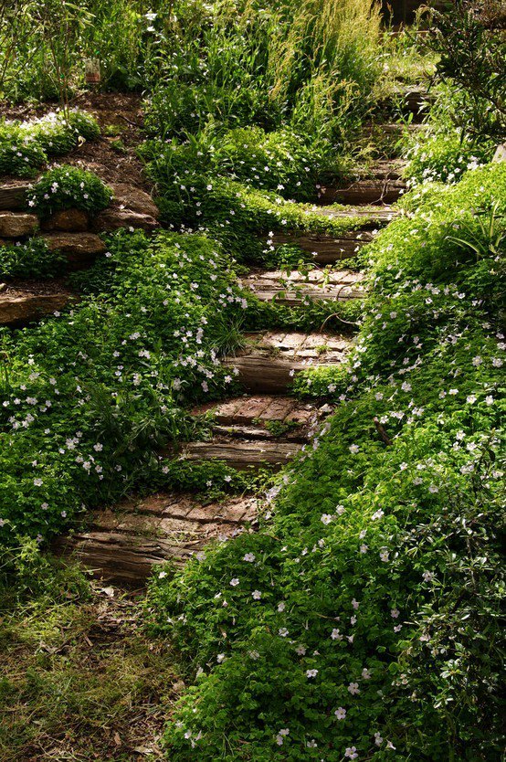 gardens_today tweet picture