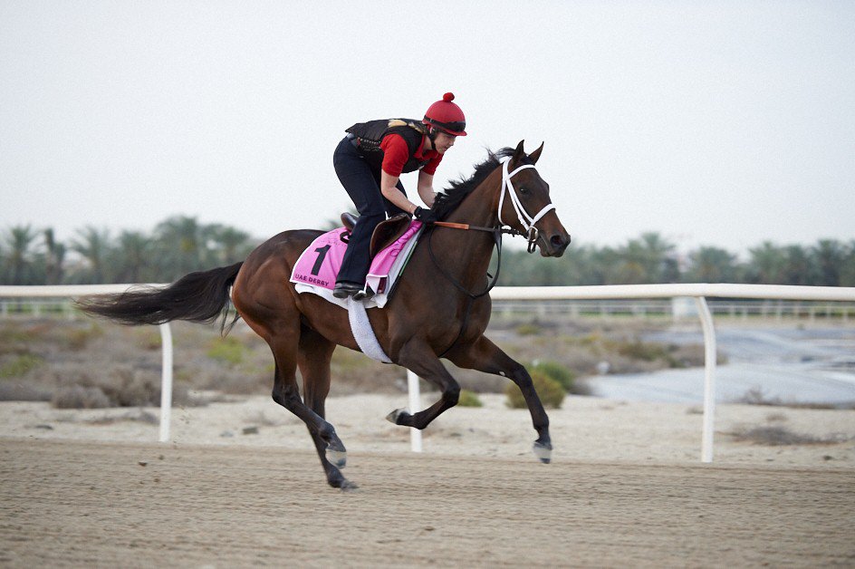 DubaiWorldCup's tweet photo. #Guineas &amp; #Oaks heroine #PolarRiver (USA) on the track at Red Stables ahead of UAE #Derby challenge @WatkinsPhotos https://t.co/sPSeZXMhyA