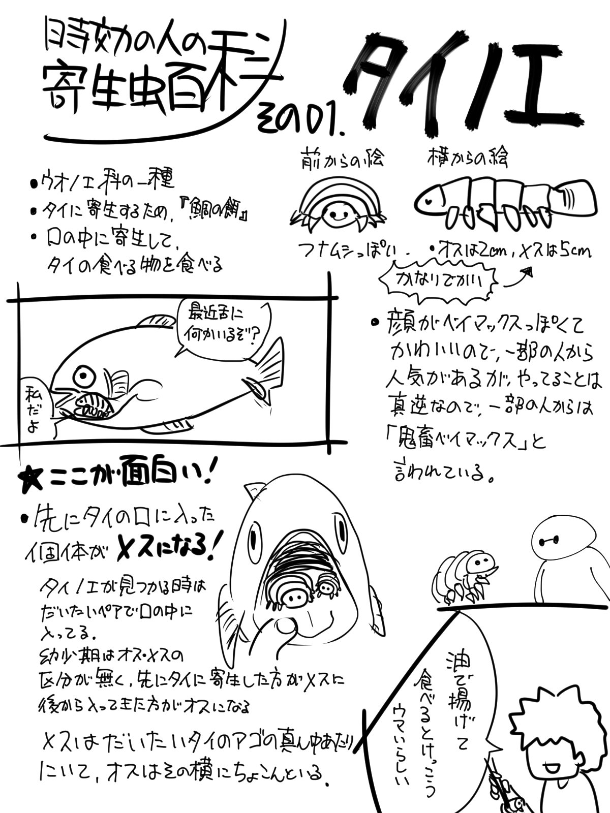 時効の人 単行本発売中 寄生虫のことを何となく描きました 寄生虫百科 寄生虫の面白い生態をわかりやすく あまりキモくないように 描いていきます 更新は気分 記念すべき第一回目は タイノエ です T Co Iwdiatk3hm Twitter