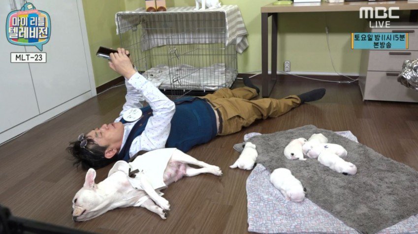 이경규 비장의 무기.jpg | 인스티즈