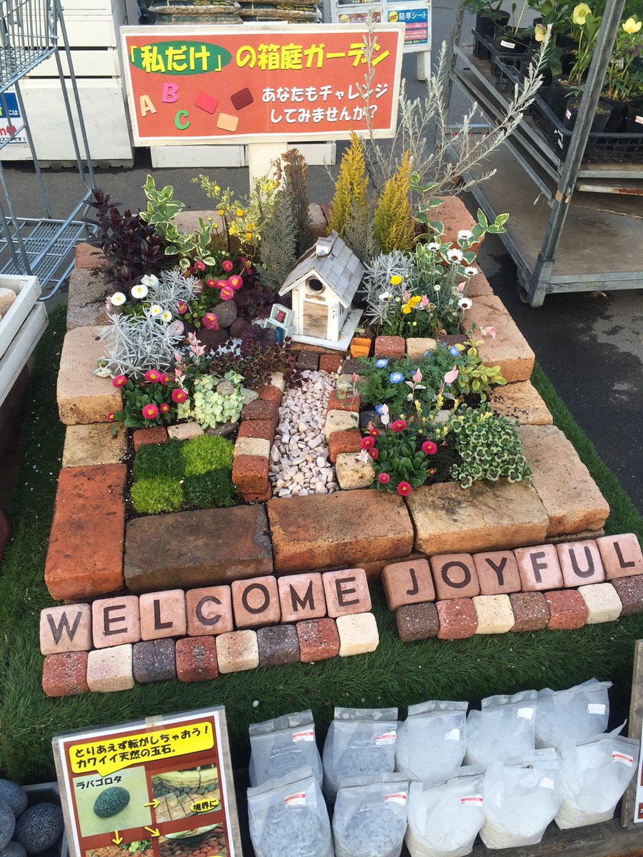ジョイフル本田 ガーデンセンター Twitterren ガーデンセンター古河店 茨城県 本日は当店の 箱庭ガーデン を御紹介 ちょっとしたジオラマみたいですよね 狭いスペースでも作れるのでオススメですよ ちなみにこちらは約1m 1mの大きさです ガーデニング ジョイフル本田 ガーデンセンター Twitterren ガーデンセンター古河店 茨城県 本日は当店の 箱庭ガーデン を御紹介 ちょっとしたジオラマみたいですよね 狭いスペースでも作れるのでオススメですよ ちなみにこちらは約1m 1mの大きさです ガーデニング