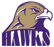 Holly Springs softball hangs on to beat Panther Creek in pitcher's duel STORY/QUOTES  newsobserver.com/sports/high-sc… #SWAC