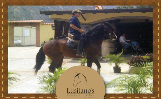 Disfruta HOY #Sábado de nuestro #EspectáculoEcuestre. Te esperamos a partir de las 12m. #Merida