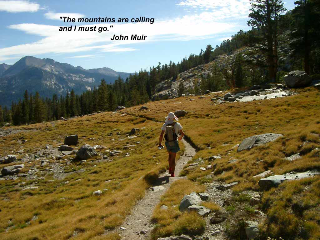 Hiking tweet media