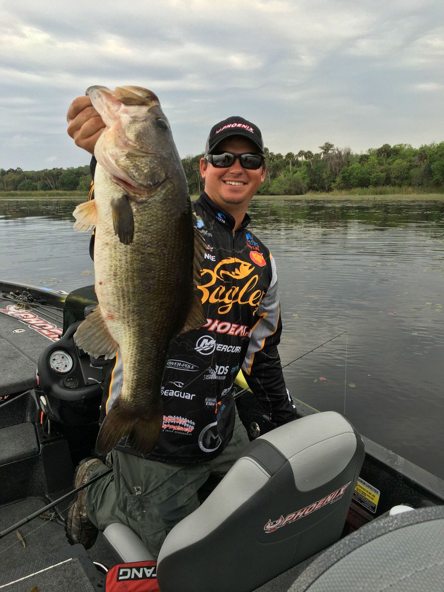 bassmaster's tweet photo. Another big day on the St. Johns! https://t.co/P3dVijQbe4 #basselite https://t.co/XNf2VrDy8X