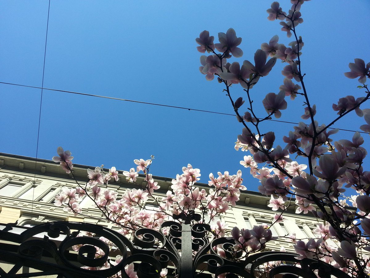 Ma_Ri_E_Lla_'s tweet photo. #springinMilan https://t.co/NlmEo91OPo