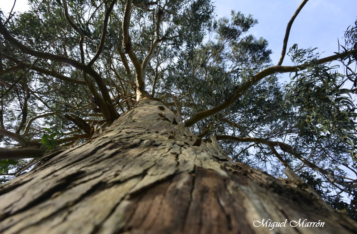 naturalphotos_'s tweet photo. https://t.co/8XOTnFzK1P
