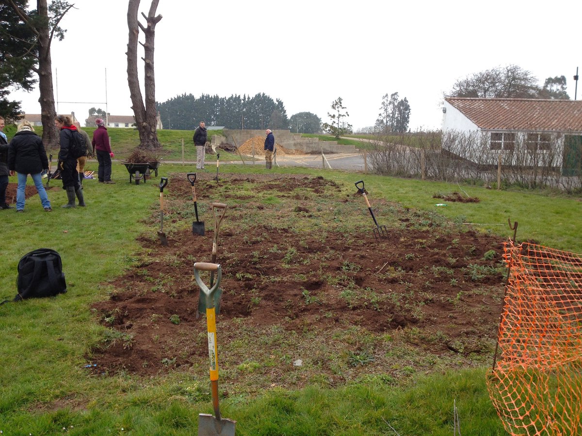 DHgardening's tweet photo. B4&after #rotavating.Plot cleared of fruit trees& roses.Soil ready2sow #Teamwork #Bridgwater #CanningtonWalledGarden https://t.co/CHlrhkKsE7