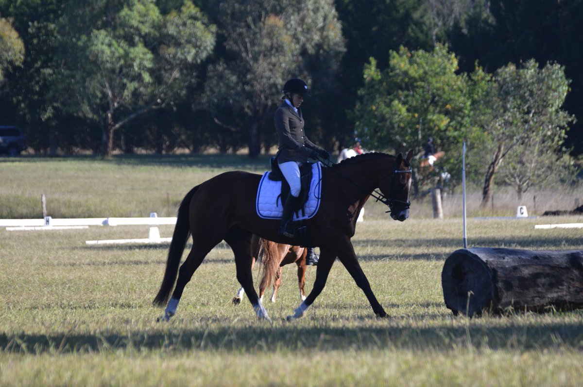 Sarah Hudson tweet media