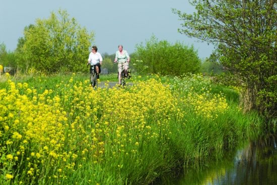 Het heerlijke voorjaar komt er weer aan! Kijk voor gratis wandel- en fietsroutes op trv-bernheze.nl